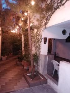 a patio with a tree and a white chair at Black & White casa privada con alberca in Monterrey