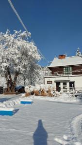 Το Leonówka Bieszczady τον χειμώνα