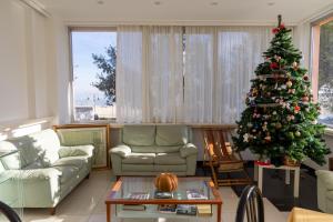 a living room with a christmas tree in it at Hotel Royal in Giulianova