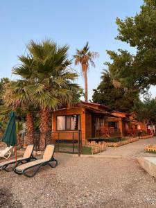 a house with two lounge chairs in front of it at Lazoğlu Bungalov in Güzelçamlı