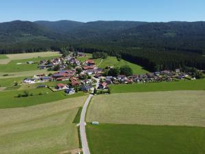 une vue aérienne sur un village dans un champ verdoyant dans l'établissement Ferienhaus Tonihof, à Langdorf