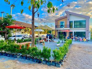 um grupo de plantas em frente a um edifício em โรงแรมบ้านหมอบิวแก่งคุดคู้ em Chiang Khan