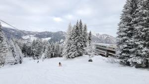 un groupe de personnes skier sur une piste enneigée dans l'établissement Trilocale sulle piste con vista sulla ValdiSole, à Marilleva