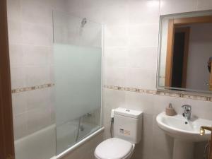 a bathroom with a shower and a toilet and a sink at Granada-Cogollos Vega Village in Cogollos De La Vega