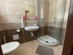 a bathroom with a sink and a shower and a toilet at Pension Hones in Horská Kvilda