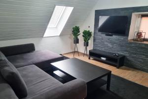 a living room with a couch and a flat screen tv at Work & Stay apartment Vohburg near Ingolstadt in Vohburg an der Donau