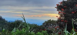 a view of the ocean from a hill with trees at AMARASINGHE GUEST HOUSE in Haputale