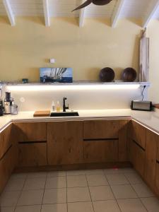 Kuchyň nebo kuchyňský kout v ubytování Villa CECILIA