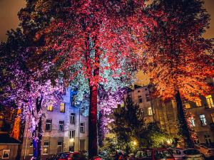 duże drzewo z lampkami świątecznymi w obiekcie Rent-Apart City Center Lodz w Łodzi