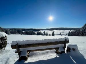 Pension Hones v zime