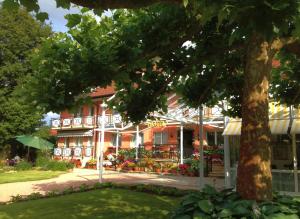 Zahrada ubytování Hotel Hofmann Zur Mühle