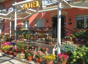 Zahrada ubytování Hotel Hofmann Zur Mühle
