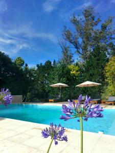 タンディルにあるCasa de Campo Las Acaciasの紫色の花と傘を用いたスイミングプール