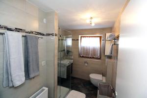 a bathroom with a shower and a toilet and a sink at Ferienwohnung Schildwolf in Fieberbrunn