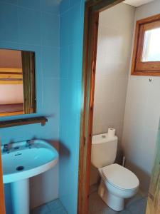 a bathroom with a toilet and a sink at Alberg Can Ribals in Lles
