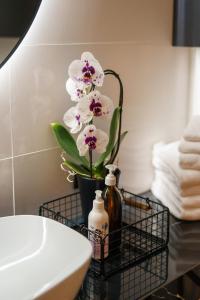 Fotografia z galérie ubytovania Apartament Deluxe BLACK ORCHID Baltic Concept Dźwirzyno v destinácii Dźwirzyno