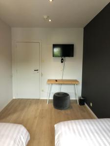 TV a/nebo společenská místnost v ubytování Hotel Le Cygne d'Argent