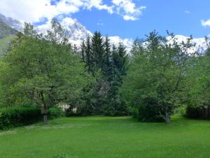 ein grünes Feld mit Bäumen und Bergen im Hintergrund in der Unterkunft Apartment Maison Novel by Interhome in Chamonix-Mont-Blanc