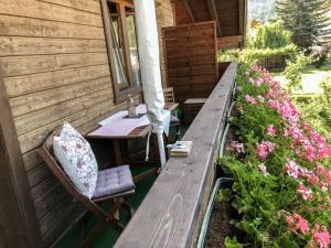 Zahrada ubytování Apartment Haus Grazia by Interhome