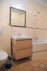 Koupelna v ubytování Apartment Stará Huť - PPU112 by Interhome