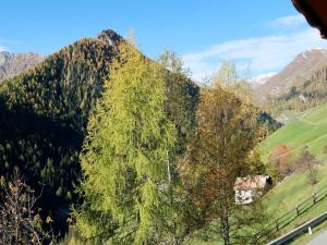 a large tree on the side of a mountain at Apartment Piz Munschuns - SIX100 by Interhome in Spiss