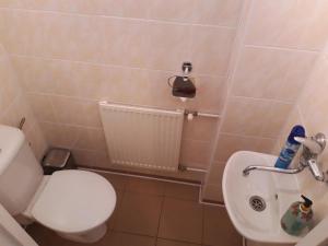 Koupelna v ubytování Holiday Home Lužnice by Interhome