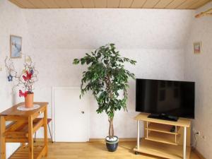 シリヒにあるApartment Kipping by Interhomeのリビングルーム(テレビ、植物付)