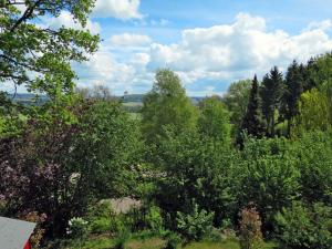 WilhelmsdorfにあるHoliday Home Svea by Interhomeの樹木や茂みの森の景色