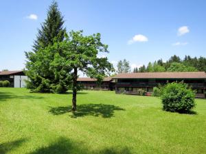ein Baum auf einem Feld vor einem Gebäude in der Unterkunft Apartment Inzell by Interhome in Siegsdorf