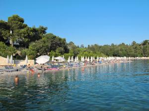 plaża z leżakami i parasolami w wodzie w obiekcie Apartment Pinezic by Interhome w Rovinj