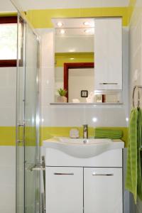 Koupelna v ubytování Apartment Borovina-1 by Interhome