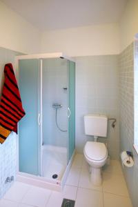 y baño con aseo y ducha acristalada. en Apartment Lina - PUL458 by Interhome, en Šišan