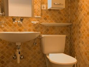 ein Bad mit einem WC und einem Waschbecken in der Unterkunft Apartment Chesa Ova Cotschna 205 by Interhome in St. Moritz