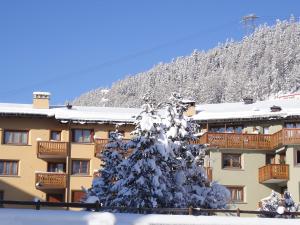 a snow covered christmas tree in front of a building at Apartment Chesa Ludains 8 by Interhome in St. Moritz