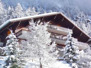 Apartment Colline 8 by Interhome durante l'inverno