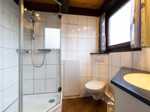 a bathroom with a shower and a toilet and a sink at Holiday Home Ferienwohnpark Immenstaad-1 by Interhome in Immenstaad am Bodensee +35 photos