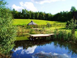 a picnic table next to a pond with a gazebo at Holiday Home Sianowska Huta by Interhome in Prokowo