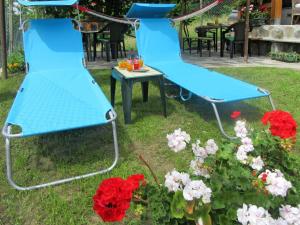 Κήπος έξω από το Holiday Home Casa Kiwi by Interhome +25 φωτογραφίες