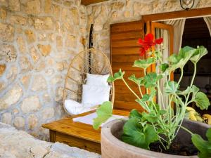 Vonkajšia záhrada v ubytovaní Holiday Home Ceko by Interhome + 37 fotografií