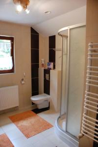 a bathroom with a toilet and a shower at Holiday Home Karpacz Kowary by Interhome in Kowary