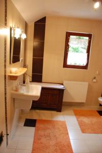 a bathroom with a sink and a toilet and a mirror at Holiday Home Karpacz Kowary by Interhome in Kowary +19 photos