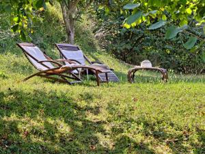 two chairs and a fire hydrant in the grass at Holiday Home Gli Antichi by Interhome in Camaiore
