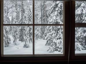 ルカにあるHoliday Home Rantaruka 4d1 by Interhomeの雪に覆われた森の景色を望む窓