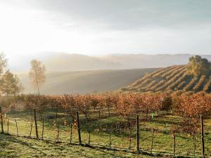 O vedere generală la munți sau o vedere la munte luată de la această casă de vacanță