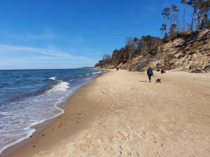 a man walking a dog on a beach at Holiday Home Modrzewiowy Zakątek by Interhome in Smołdziński Las