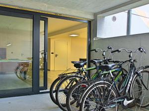 Jízda na kole v ubytování Holiday Home Oliva 2 by Interhome nebo okolí