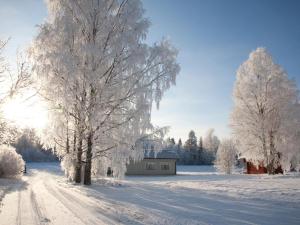 een huis in een met sneeuw bedekt veld met bomen bij Holiday Home Metsätähti by Interhome in Vuokatti