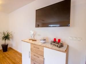 TV a/nebo společenská místnost v ubytování Apartment Gabi by Interhome