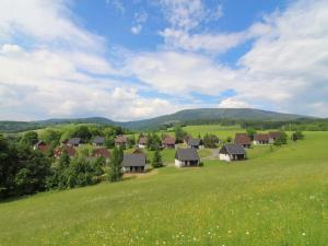a group of houses in a green field with mountains in the background at Holiday Home Holiday Hill 35 by Interhome in Lauterwasser