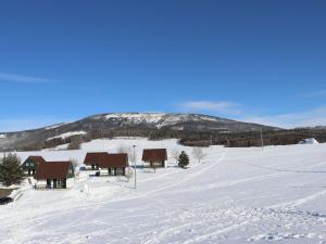 Holiday Home Holiday Hill 36 by Interhome v zimě